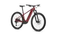 Mondraker, THUNDRA 29 E-MTB / Urban Cross Bike 2023 -Fahrräder Geschaft 1666881602 2600 635a98427c847657650259 01023220 1