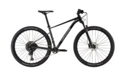Cannondale Trail SL 3