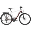 Bergamont E-Horizon Edition LTD Gent Trekking E-Bike -Fahrräder Geschaft 286747 bergamont bike e horizon edition ltd gent web