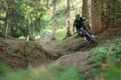 Santa Cruz, Tallboy 5 S-Kit Downhill Bike 2023 -Fahrräder Geschaft 3cd15526 965a 4d87 b818 539983f1823d scb tallboy v5 release images elliot jackson 3967e25