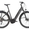 Giant AnyTour E+ 2 LDS 2021 E-Bike