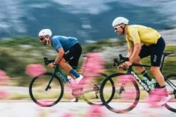 Cervelo Cervélo, Caledonia 105 Rennrad 2022 -Fahrräder Geschaft 85a 3915