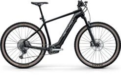 Centurion Backfire E R2600i EP2 E-Hardtail 29 Zoll