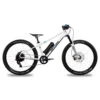 Ben-e-bike, TWENTYFOUR E-Power PRO 24" Kinder E-Bike