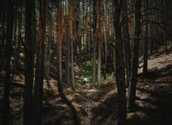 Mondraker, Dusty R Gravel E-Bike 2023 -Fahrräder Geschaft dsc0617