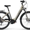 Centurion E-Fire City R2600i ABS E-Bike 1 Centurion E-Fire City R2600i ABS E-Bike -Fahrräder Geschaft e fire city r2600i treibsan4fde7