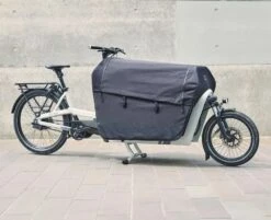 Ca Go Bike, FS200 Vario E-Lastenrad 2023 -Fahrräder Geschaft fs200vario cover pro kachel mood soft walls 1