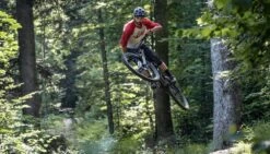 SCOR, 4060 LTC NX MTB 2022 -Fahrräder Geschaft gallery scor mountain bikes 4060 lt nx 03