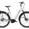 Giant DailyTour E+ 1 BD LDS E-Bike 2 Giant DailyTour E+ 1 BD LDS E-Bike -Fahrräder Geschaft giant dailytour e bd lds
