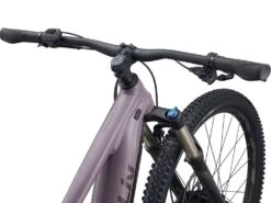 Liv Embolden E+ 2 2022 500Wh -Fahrräder Geschaft my22emboldeneplus2 colorapurpleash d1