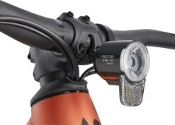 Liv Embolden E+ EX 2023 -Fahrräder Geschaft my23emboldeneplusex coloracoppercoin d 7