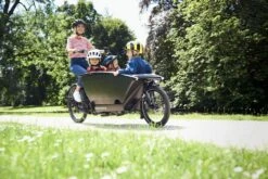 Urban Arrow Family Bosch Cargo Line 500Wh Magura Cme -Fahrräder Geschaft urban arrow family 2020 14