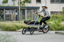 Chike, Elektro-Cargorad "e-Cargo" 2022 -Fahrräder Geschaft webaufnahme 13 10 2022 121930 chike de jpg